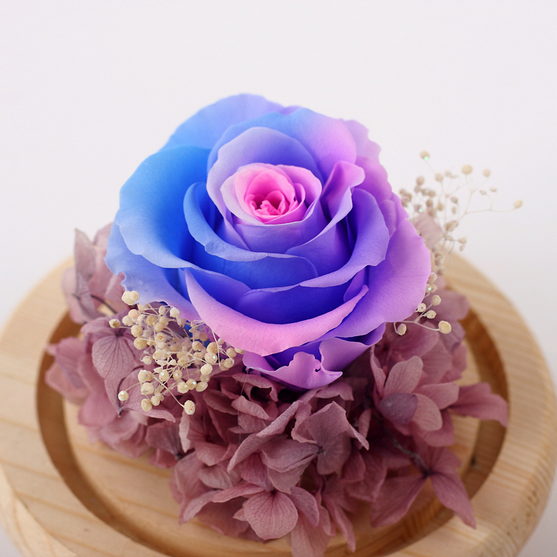 像永生花一样永不凋谢,永生花需要什么方法才能永不凋谢