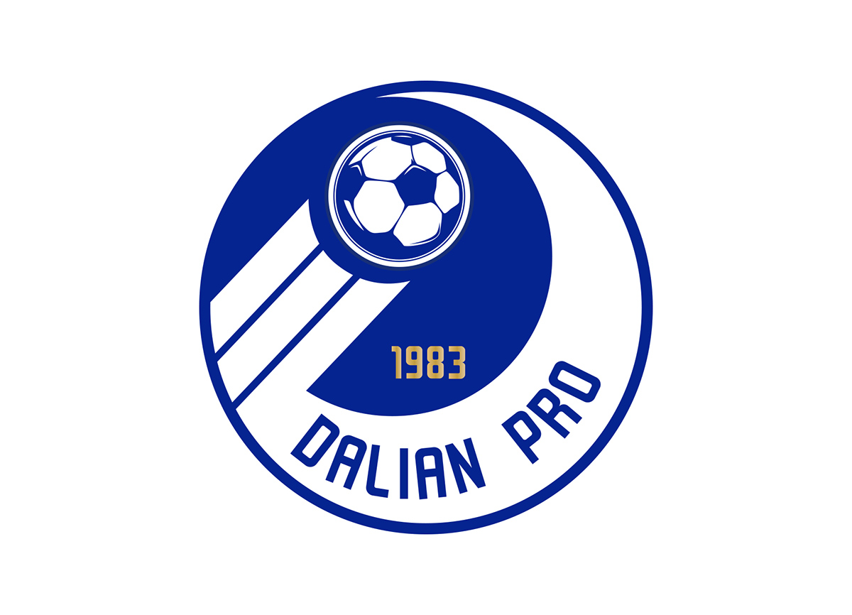 中国足球队历届队徽,中国足球队历年队徽变化