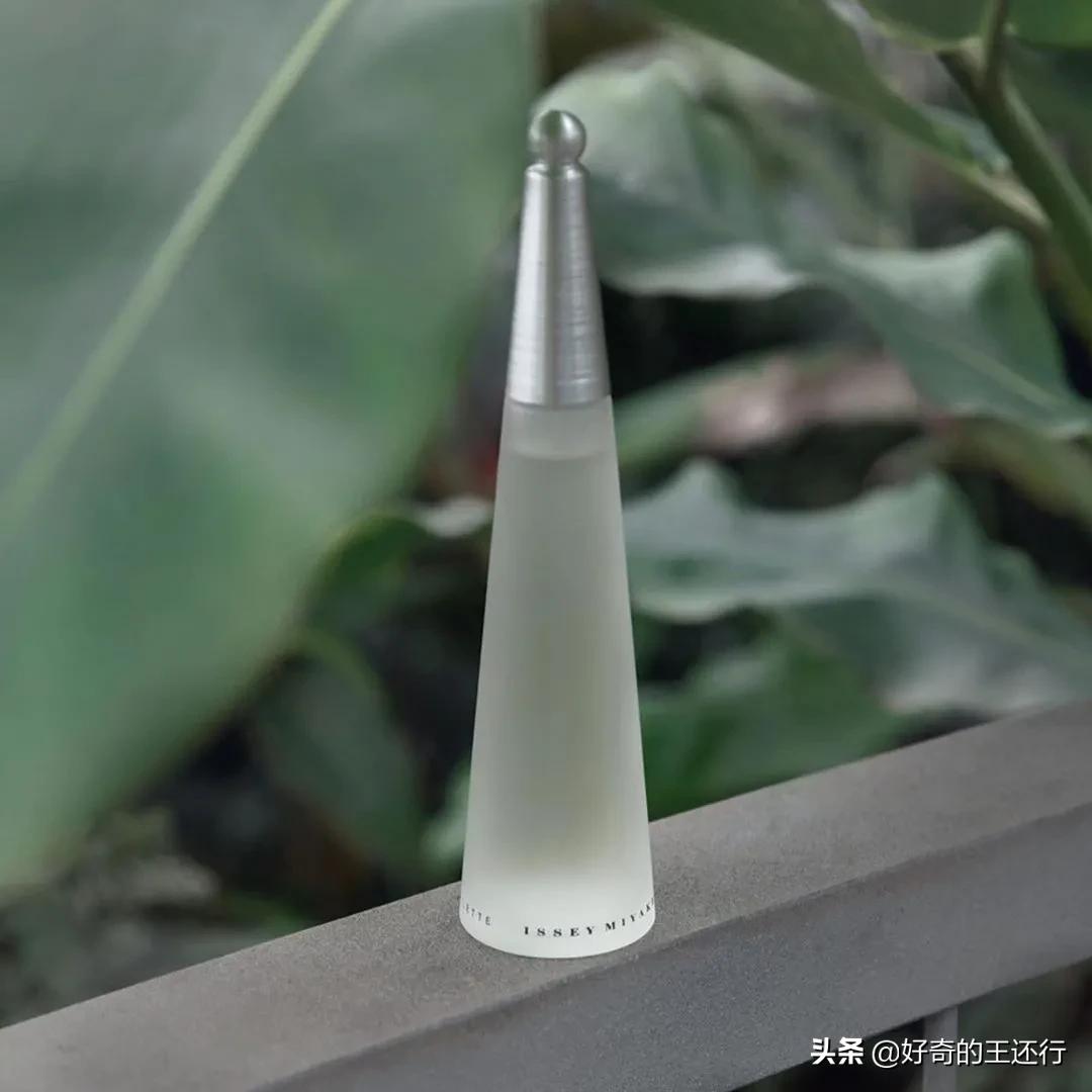 三宅一生的一生之水适合什么年龄,三宅一生女人