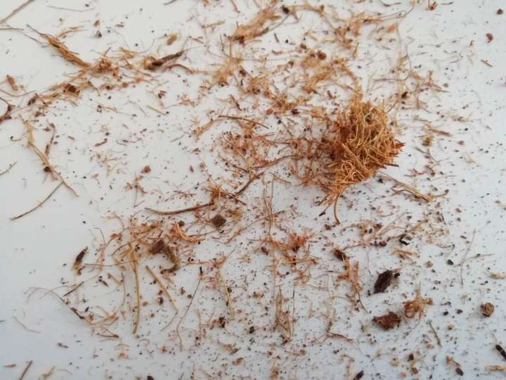 海马牌环保棕床垫有甲醛吗,床垫甲醛怎么判断