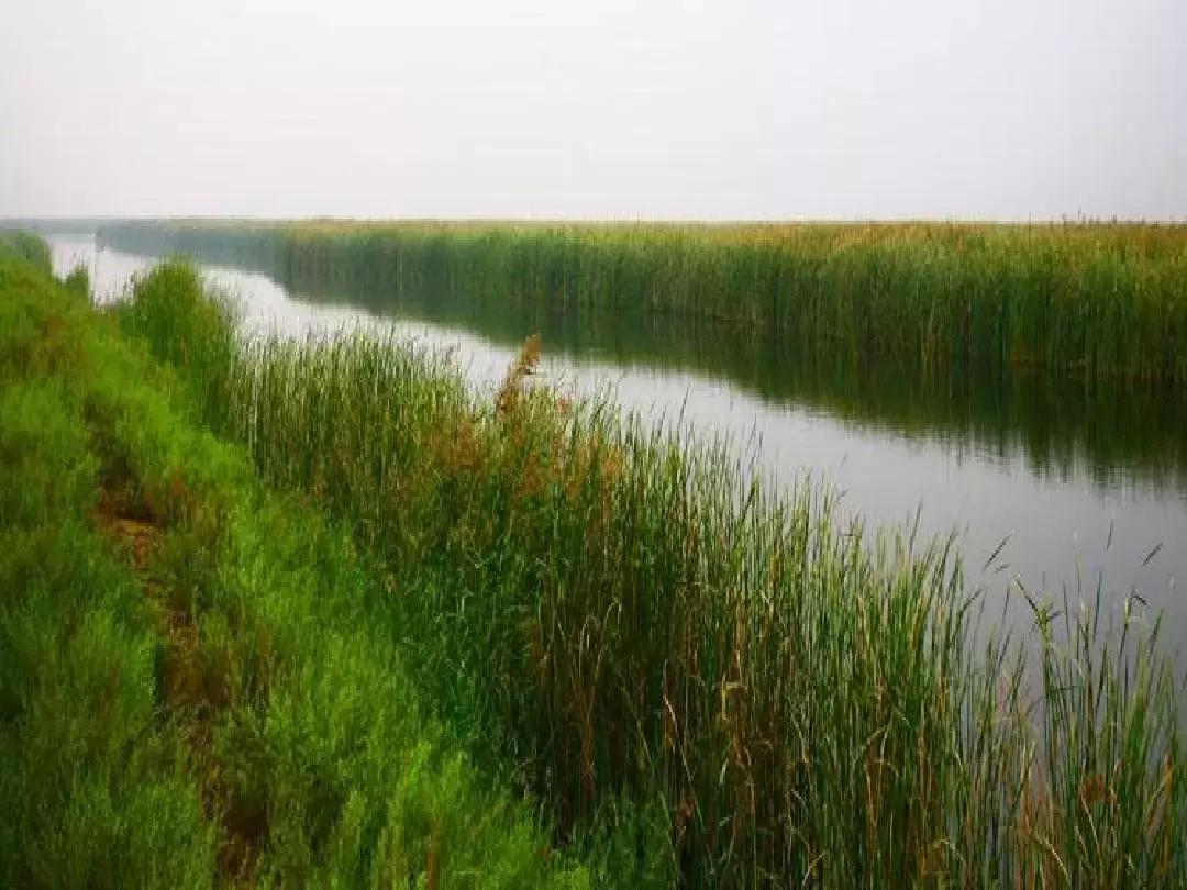 雄安必玩,雄安可以去的地方