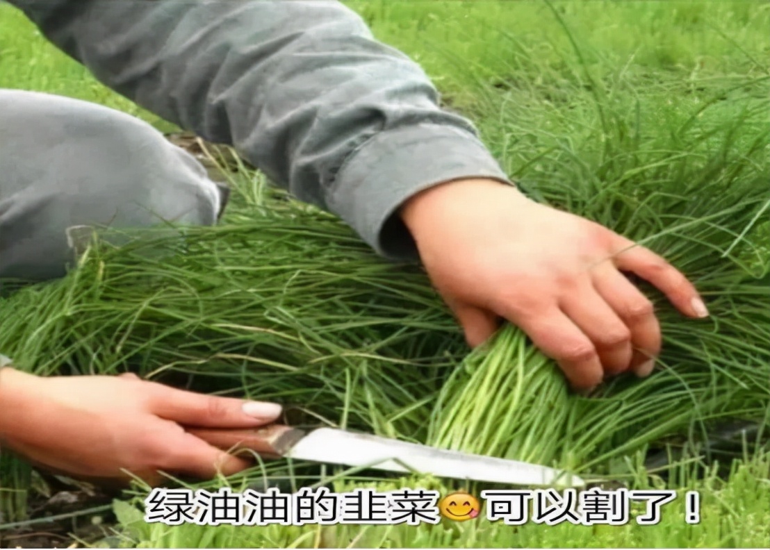 中年大妈炒股成功真实案例,炒股老太太视频