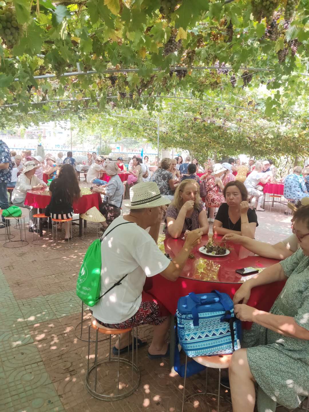 秦皇岛昌黎葡萄沟吃住一体农家院,昌黎海边农家院