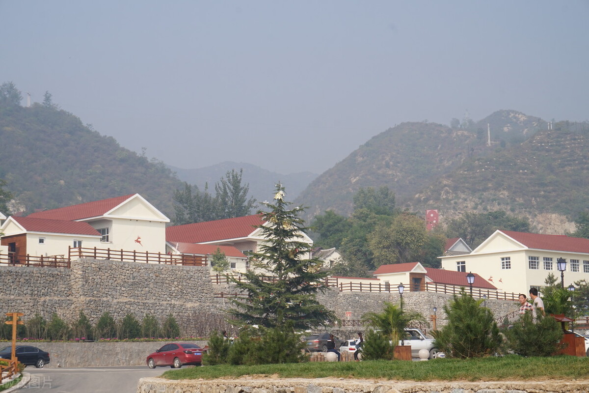 2021农民种地补贴多少钱一亩,1974年前出生的农民2021有补贴吗