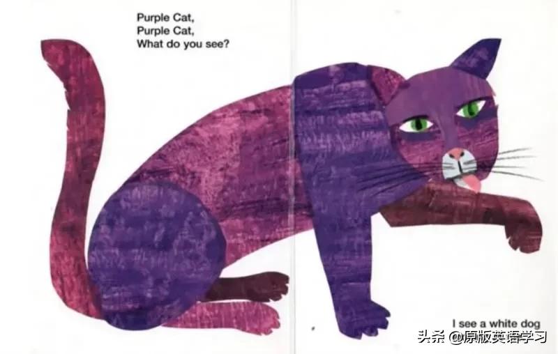 英语绘本brownbear动画,brownbear英文绘本讲读视频