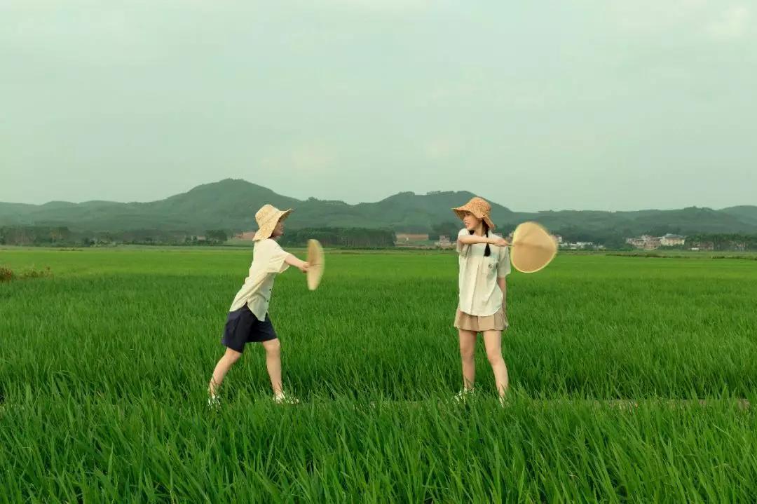 如何拍出原始森林的感觉,怎样拍出森林氛围感大片