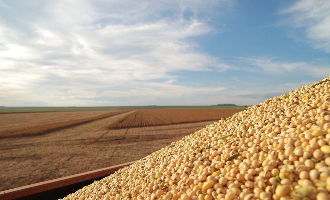 美国粮食价格危机,美国是如何操控世界粮价的