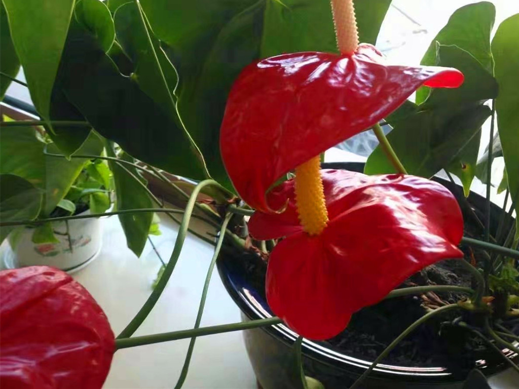 做好5件事快速改变人生,做好这5件事