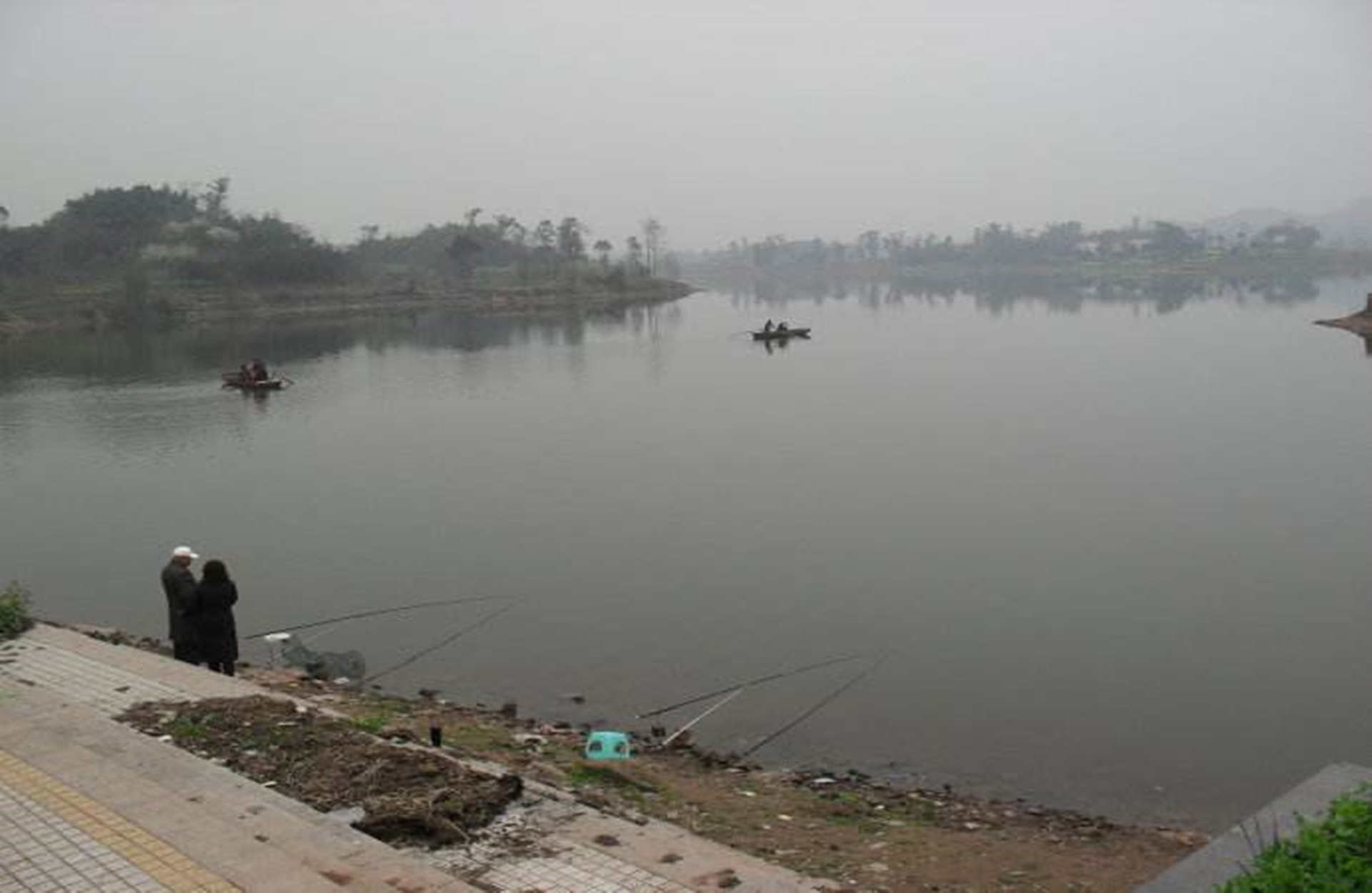 罗非鱼的正确钓法,太阳鱼和罗非鱼生活习性区别