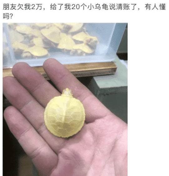 赌100袋辣条,赌十包辣条