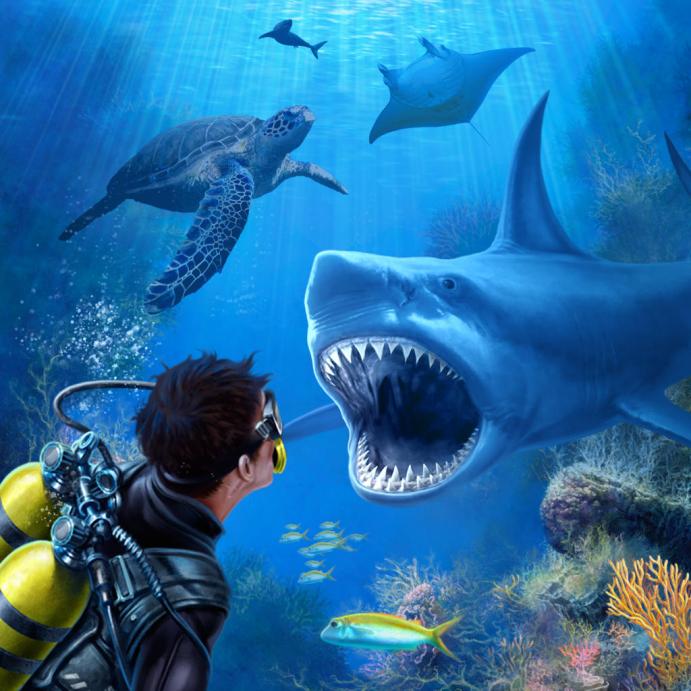 使用vr应该使用哪个软件,vr教学真实感受