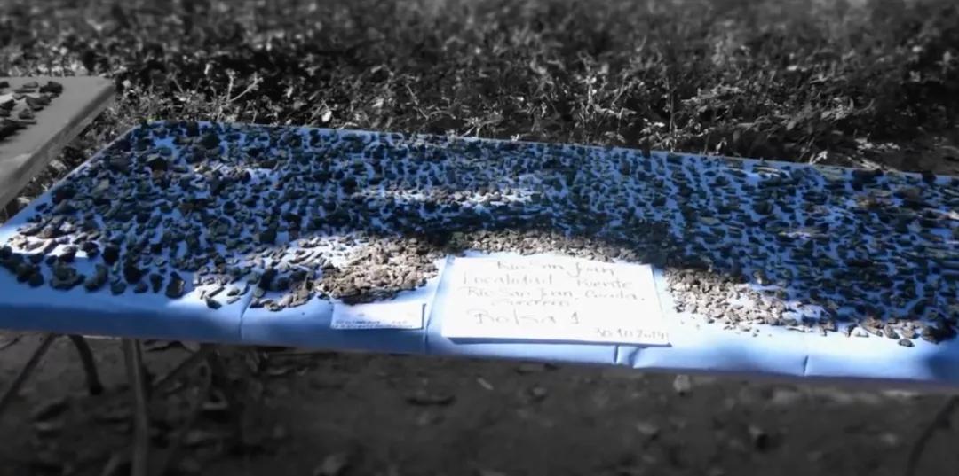 墨西哥43名大学生凭空消失?不,是警方与毒枭的一场谋杀