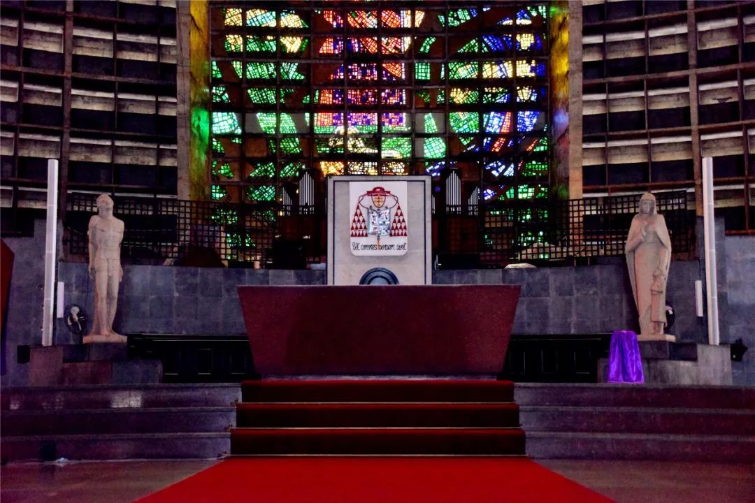 巴西和阿根廷之旅,巴西阿根廷之旅