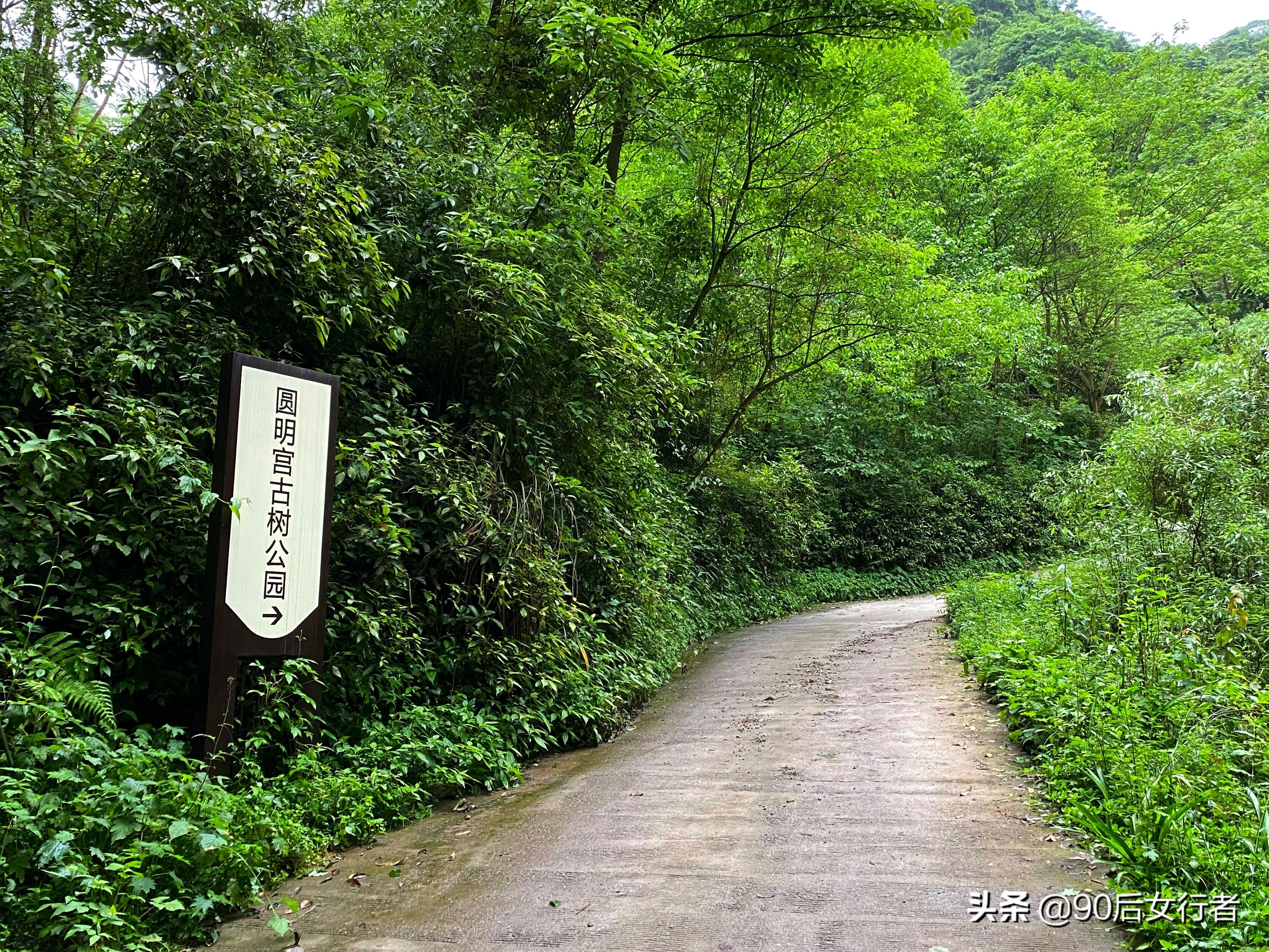 探寻青城山,探秘青城山神仙洞怎么走