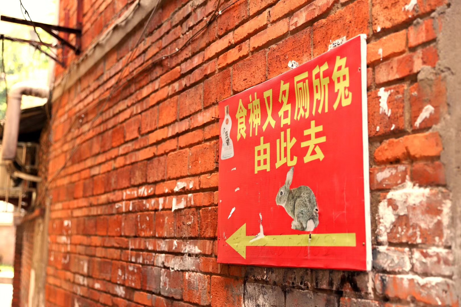 重庆人为什么不怕自贡菜,重庆人吃自贡菜