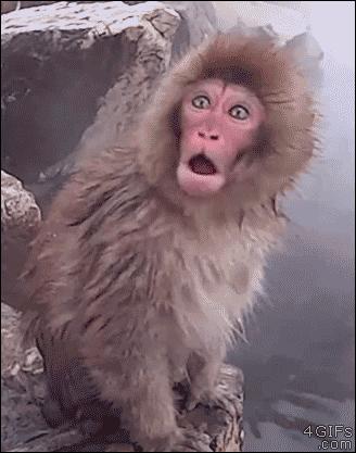 球员薪水由什么决定,球员工资