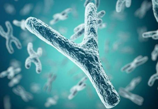 男性不育检查染色体,男性检查不育要多少钱