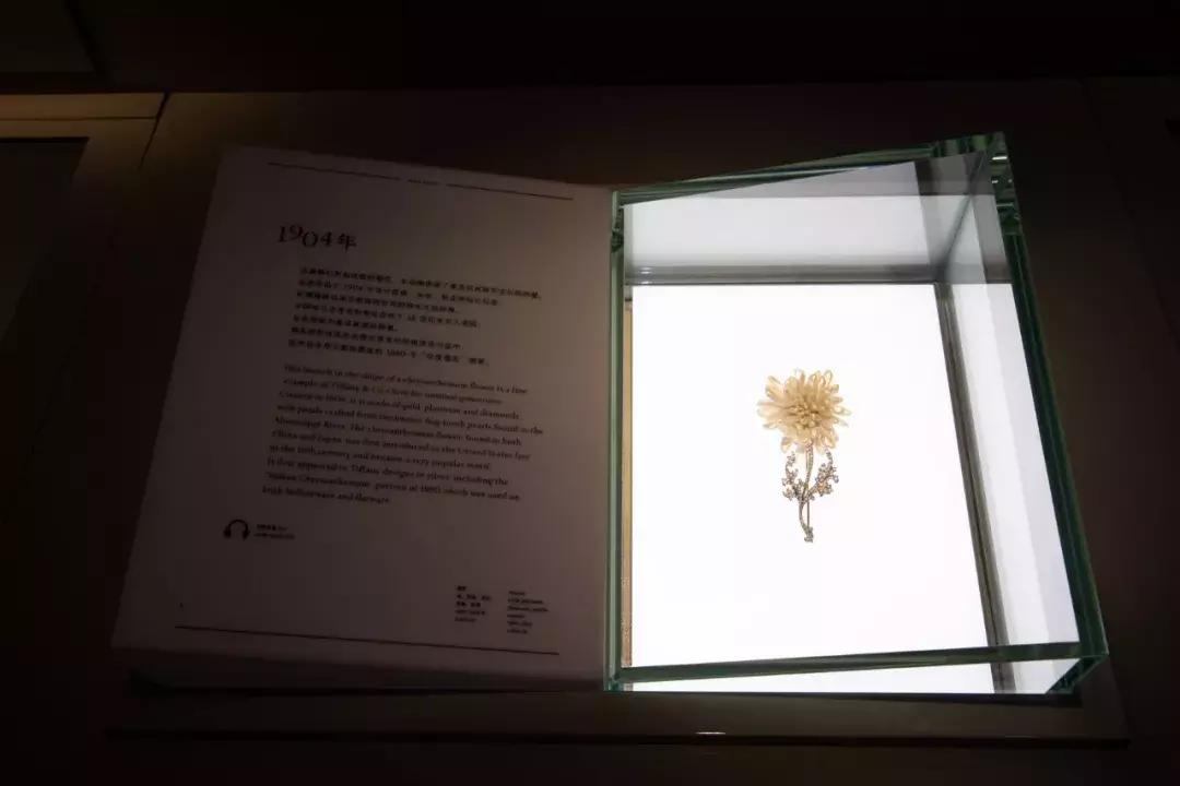 tiffany最美的时光,tiffany的美好时光