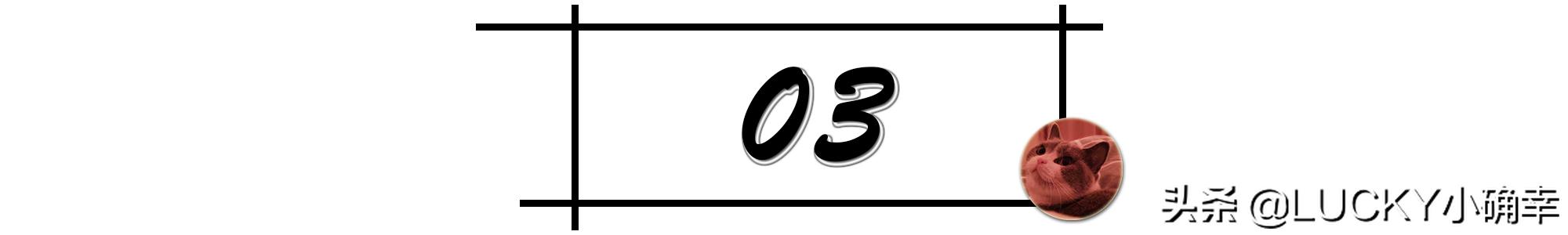 猫咪打喷嚏不用太紧张，可能只是喝水呛鼻子，怎么及时处理？