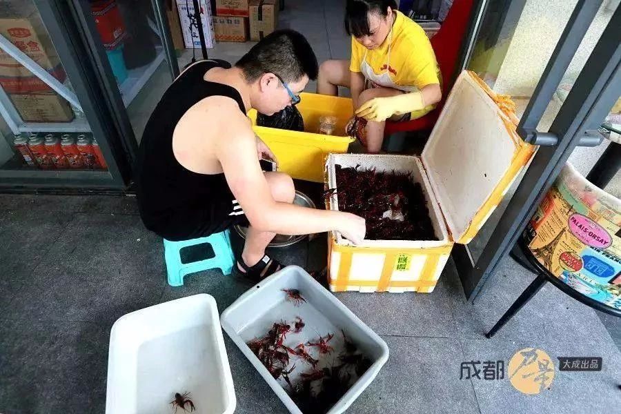 餐饮老板的自述和感悟,餐饮人老板日常分享