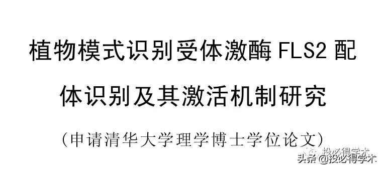 英文文献阅读概括技巧,快速阅读和总结英文文献神器
