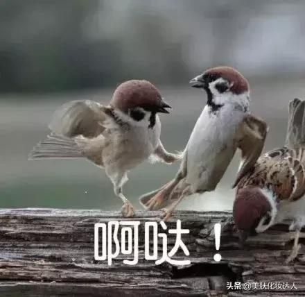 俄罗斯代购化妆品假货多吗,俄罗斯的化妆品有假的吗