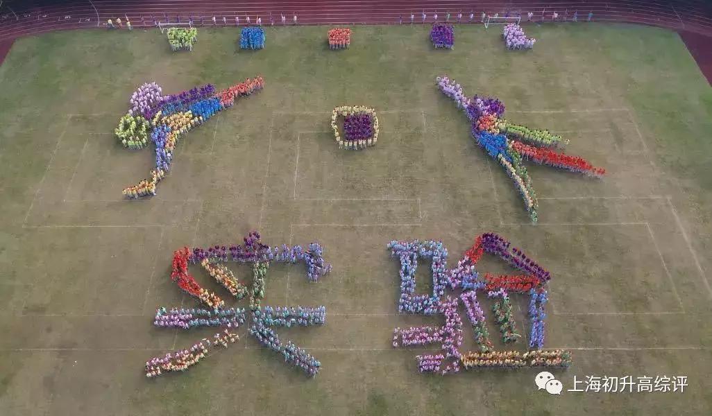 上海实验学校高考,2019上海市实验学校喜报