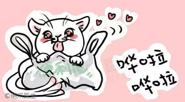 猫咪为啥喜欢玩袋子 (为什么猫咪喜欢吃塑料袋)