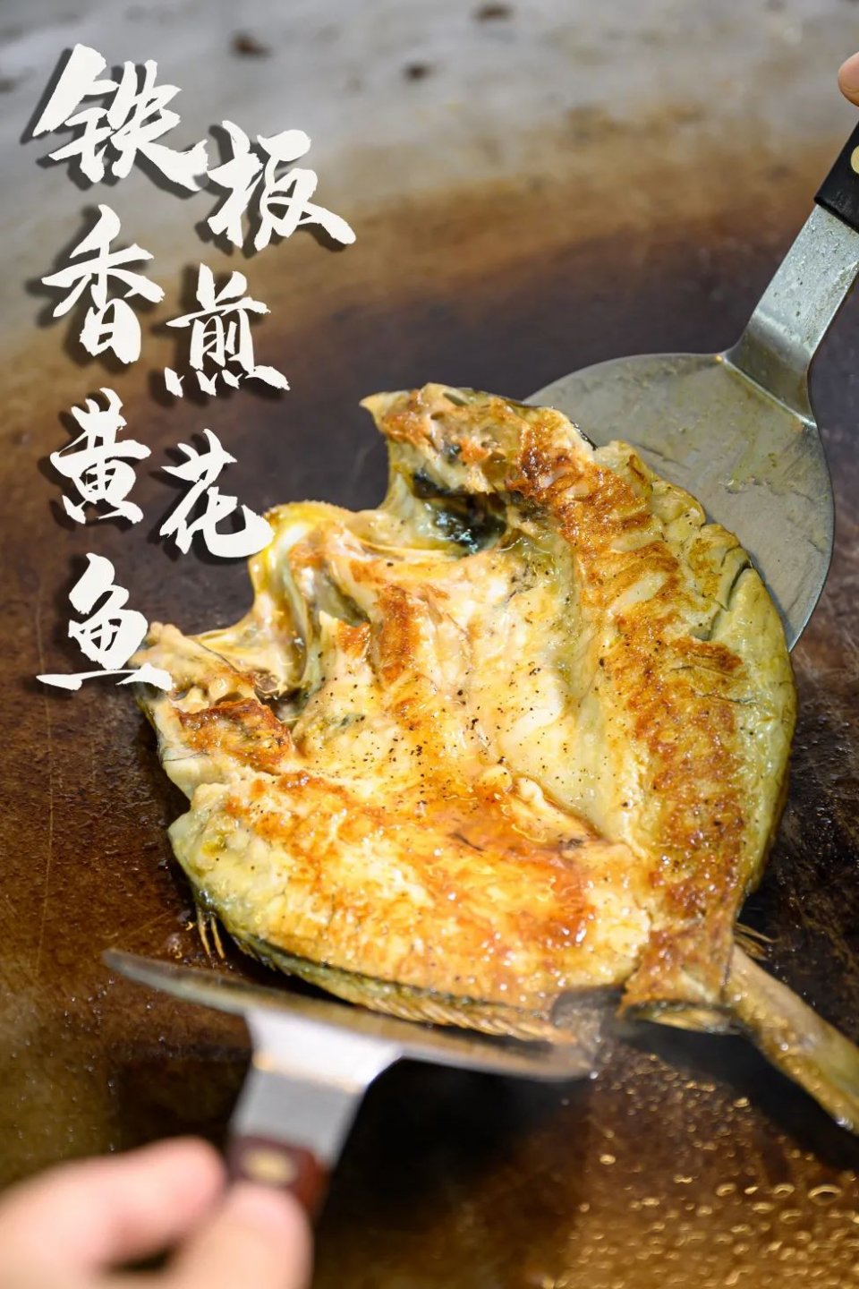 大渔铁板烧里的芝士扇贝,日式铁板烧芝士焗大虾