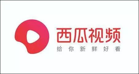 西瓜直播公会政策,西瓜直播新规