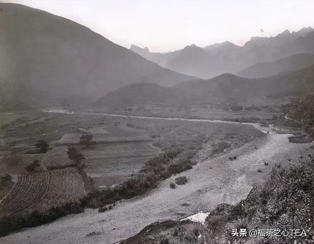 岩茶价格到底贵不贵？——从历史岩茶价格看当今岩茶价格