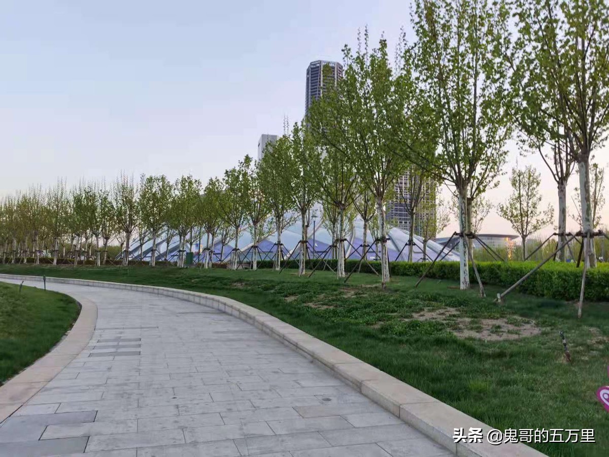 鬼哥的五万里D201骑记：山东回忆录-上,黄骅市上排河镇-滨海新区