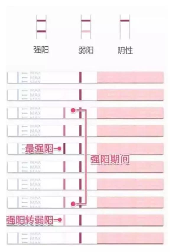 排卵试纸的正确用法,月经前用排卵试纸