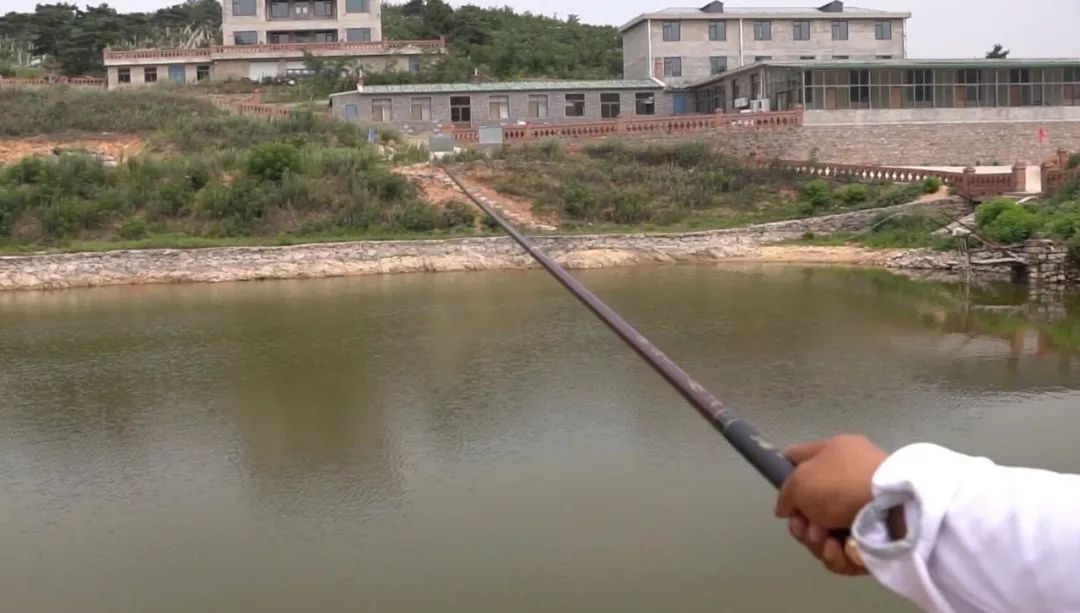 钓获超大鲤鱼,红狼亚洲鲤鱼竿钓重测评