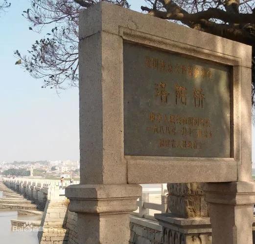 王琪斌：芭蕉叶上的洛阳桥