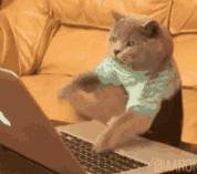 520送男朋友的礼物推荐清单,520送男友实用礼物排行榜同款