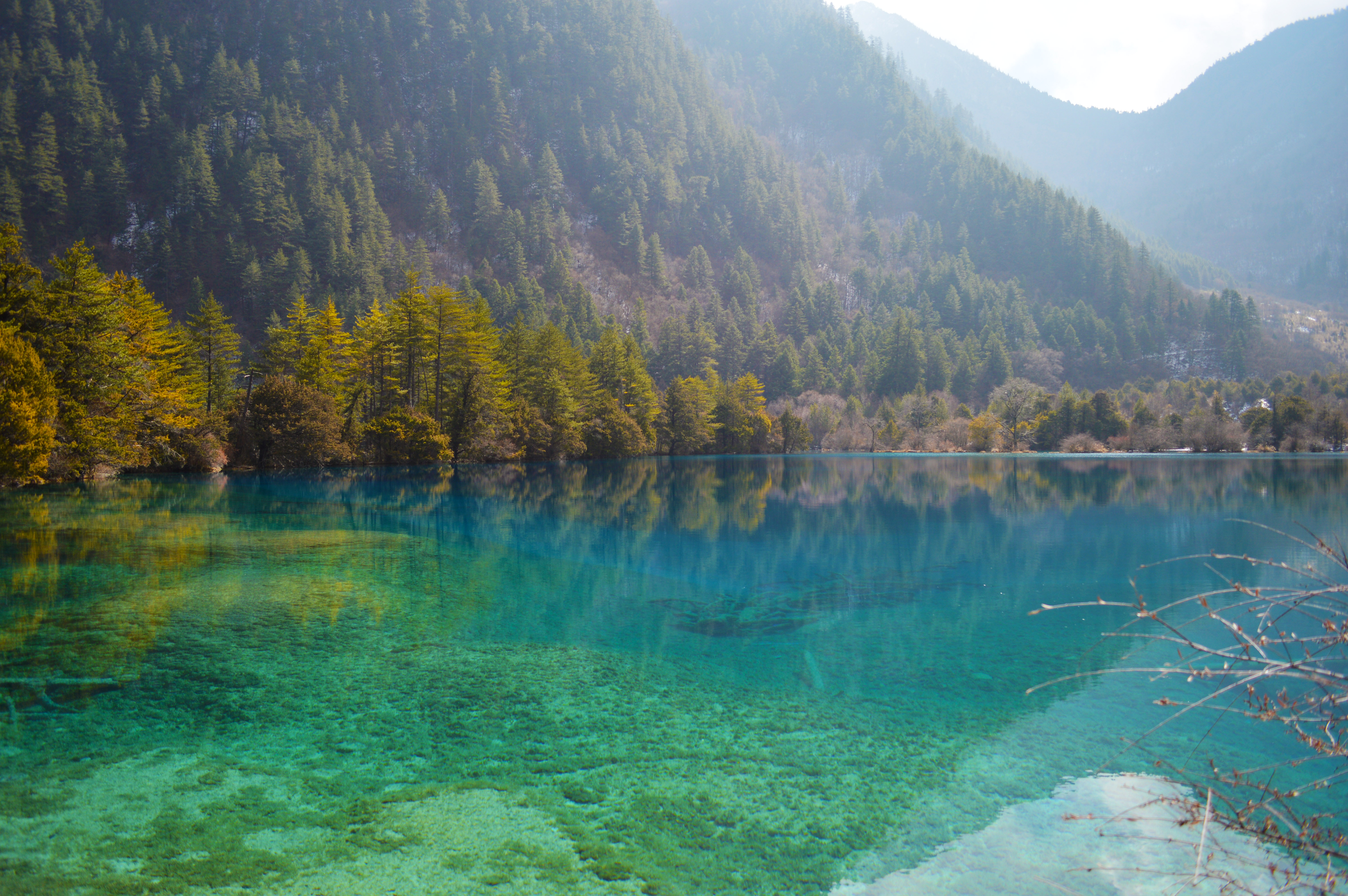 九寨沟震后最美景点开放了吗,九寨沟地震珍贵景点
