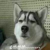 陈志朋恨天高,恨天高四角裤图片