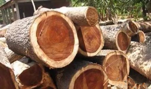 刺猬紫檀红木家具是什么档次,刺猬紫檀木家具好吗