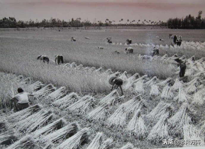 五十年代至七十年代人民公社,6070年代人民公社