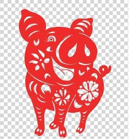 从丁亥到己亥—武昌水果湖中学六六届高三（1）班同学聚会本命年