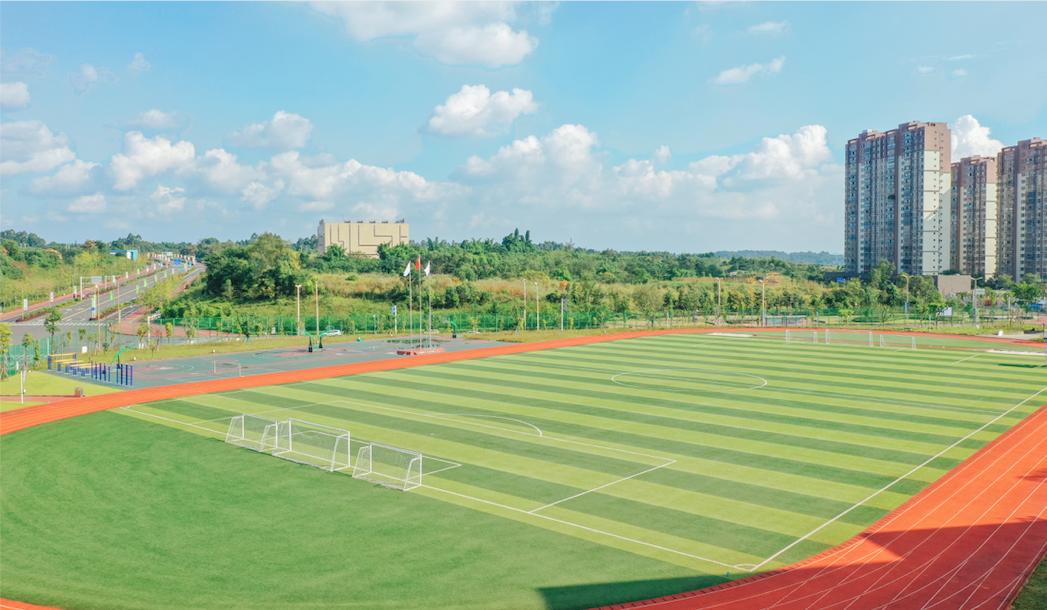 东辰比赛组别,2023年东辰比赛视频