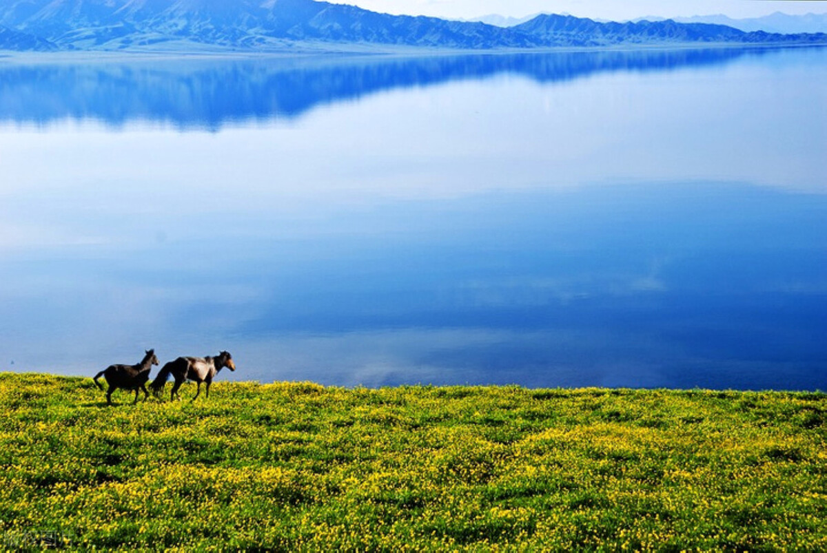 新疆伊犁高质量发展下的塞外江南,伊犁为什么会被称为塞外江南