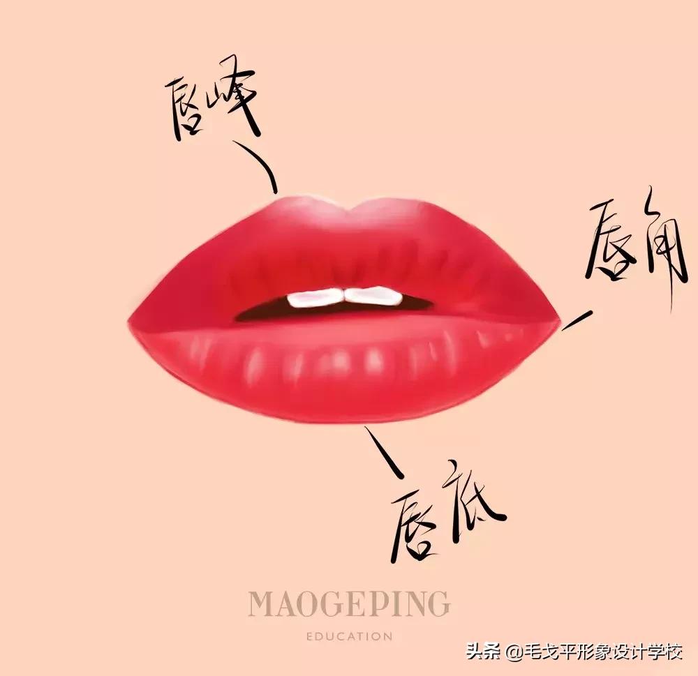 买了很多口红没一个好看的,买了口红不会涂