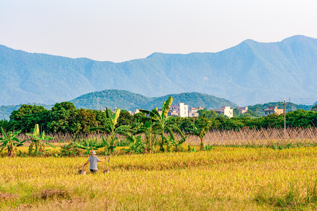 谈谈中国人当前的心理问题,谈谈中国人口红利与人才红利关联