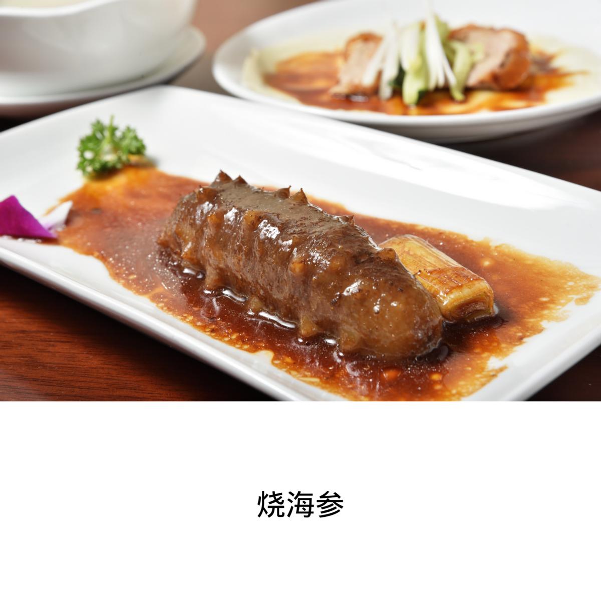 海参古老的海洋生物,海参海胆海洋生物