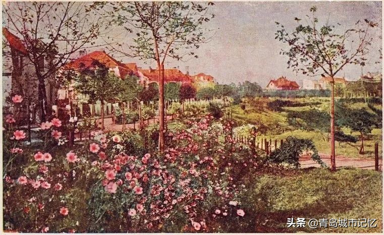 青岛的几个海洋公园哪个好,青岛世博园八大园都是什么园