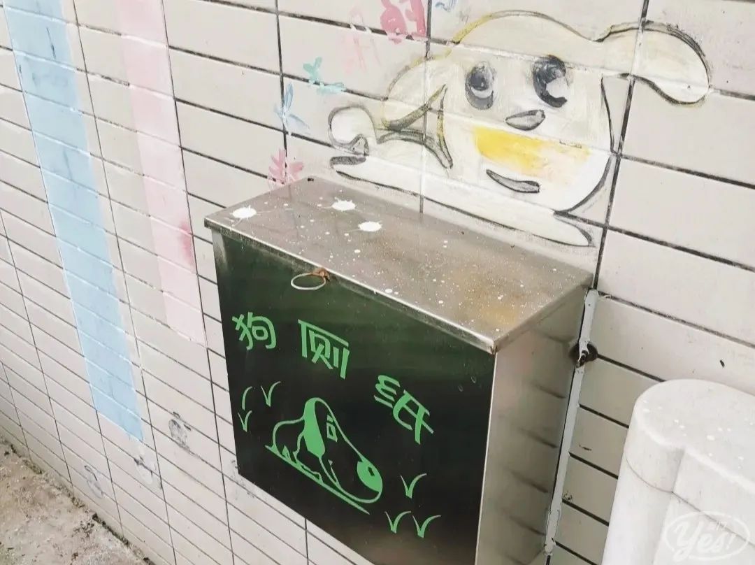 “去过厦门的公厕,我再也看不上五星级酒店了”