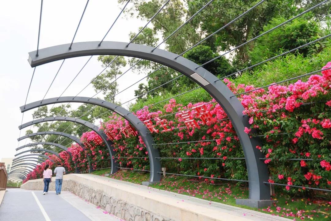 深圳遛娃必去的50个主题公园,深圳亲子游十佳去处免费