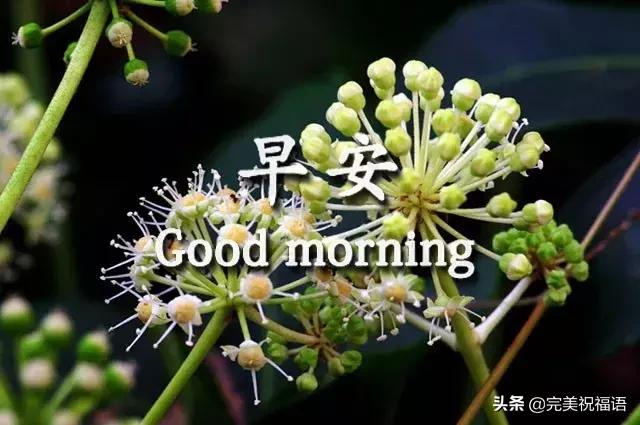 早安手机短信,发给朋友早上好短信